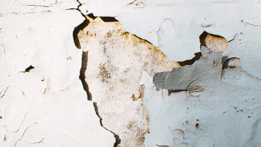 Building Maintenance and Decorating